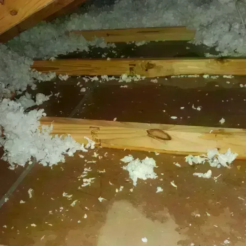 Attic Water Damage in The Villages, FL