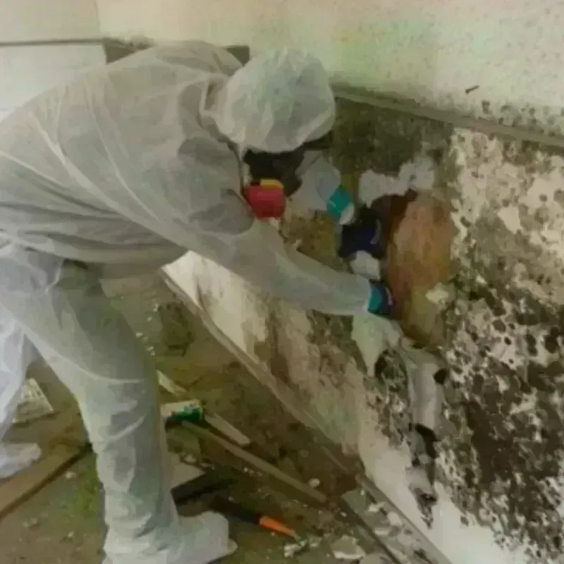 Mold Remediation and Removal in The Villages, FL